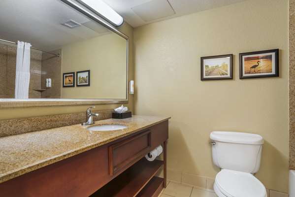 Suite - Comfort Inn & Suites Daphne - I-10, Exit 38