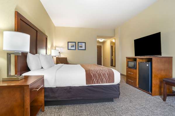  - Comfort Inn & Suites Daphne - I-10, Exit 38