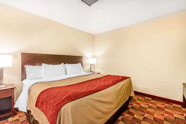 Suite - Comfort Inn & Suites Jasper