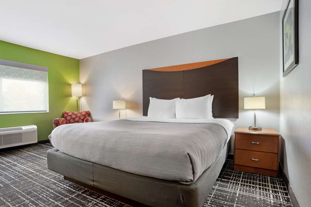 QUALITY INN AND SUITES BIRMINGHAM --guestroom-Guest Room,On-Site.jpg