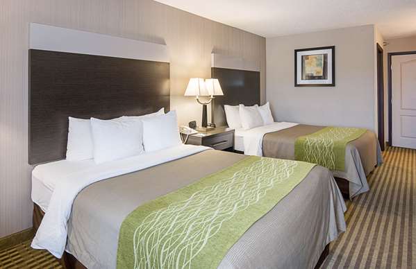  - Comfort Inn Camden