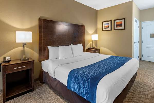  - Comfort Inn & Suites Bryant - I-30, Exit 123