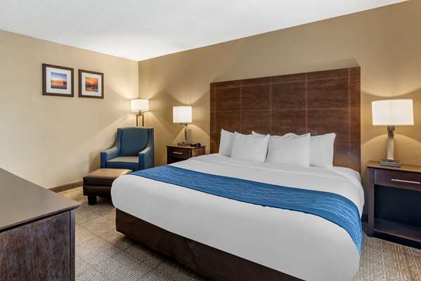 Suite - Comfort Inn & Suites Bryant - I-30, Exit 123