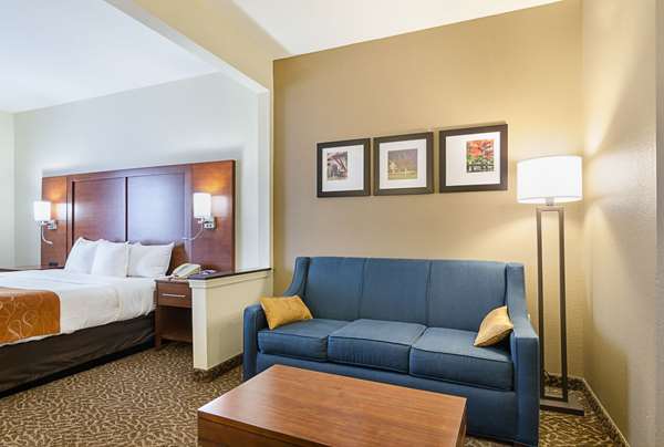 Suite - Quality Suites Springdale - I-49, Exit 72