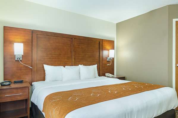 Suite - Quality Suites Springdale - I-49, Exit 72
