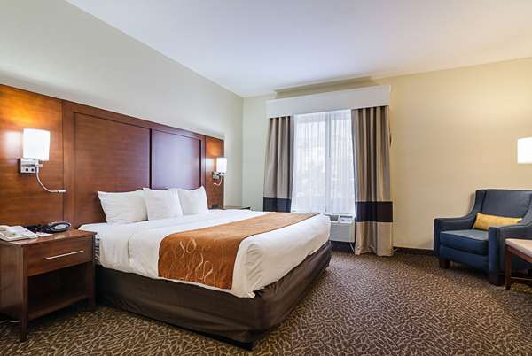 Suite - Quality Suites Springdale - I-49, Exit 72