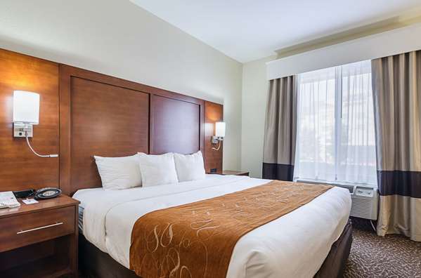 Suite - Quality Suites Springdale - I-49, Exit 72