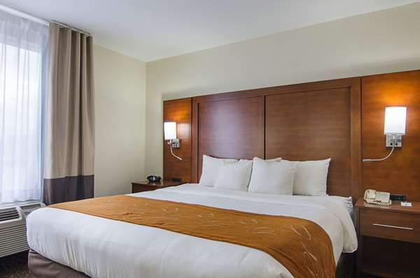 Suite - Quality Suites Springdale - I-49, Exit 72