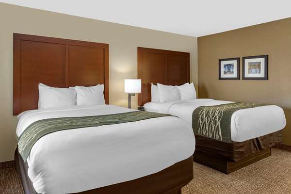  - Comfort Inn & Suites Little Rock Airport
