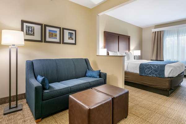 Suite - Comfort Suites Batesville