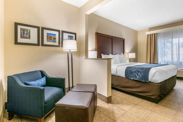 Suite - Comfort Suites Batesville