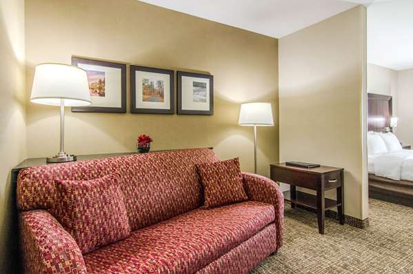 Suite - Comfort Suites Bentonville - I-49, Exit 85