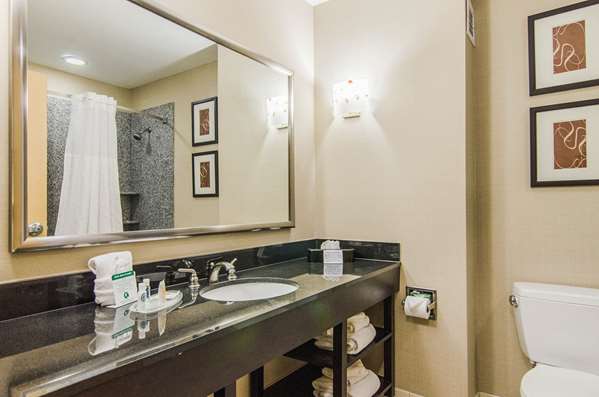 Suite - Comfort Suites Bentonville - I-49, Exit 85