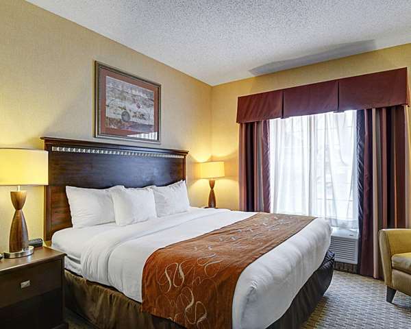 Suite - Comfort Suites Downtown Conway - I-40, Exit 127