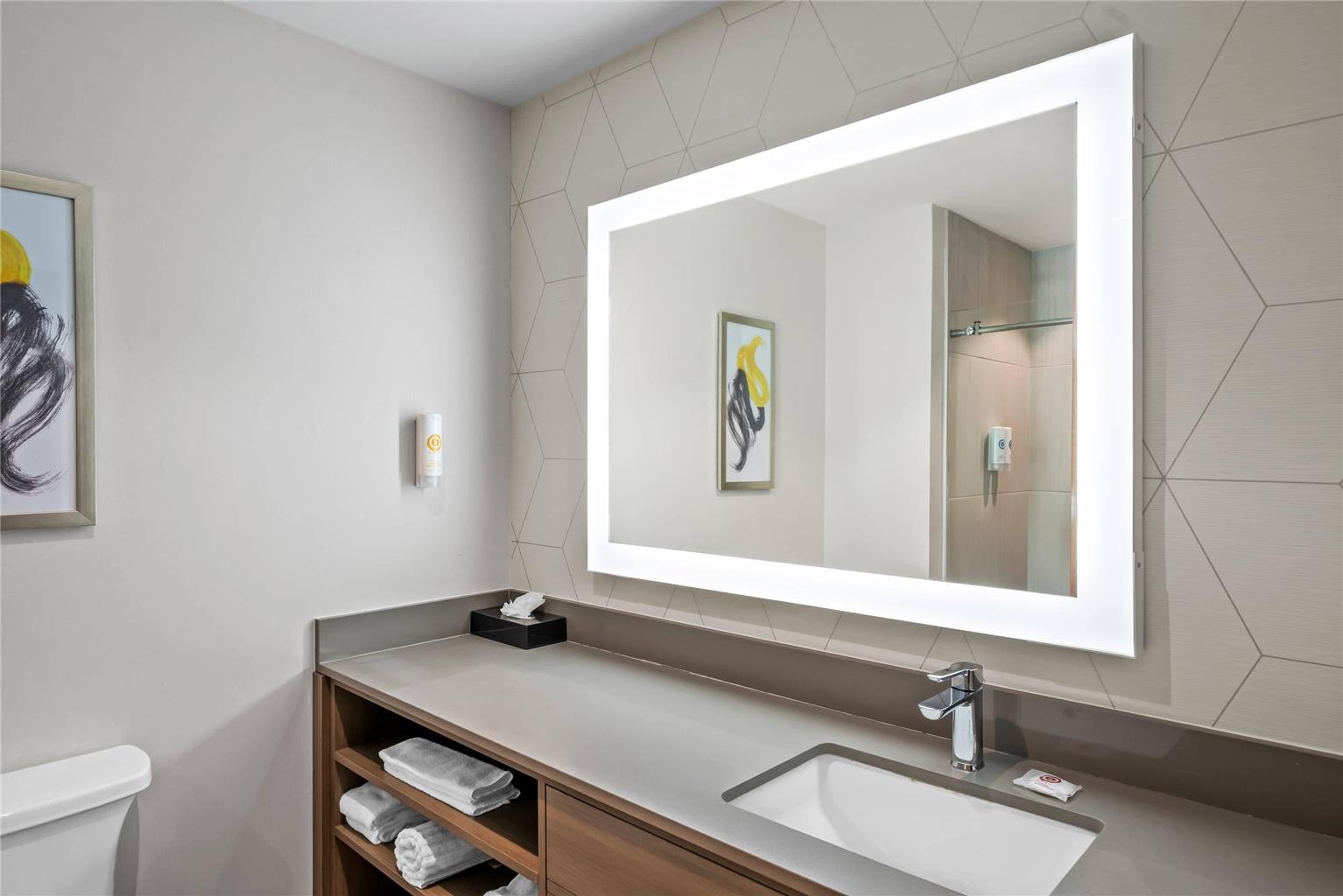 COMFORT SUITES CONWAY-guestroom-Guest Room,Bathroom,On-Site.jpg