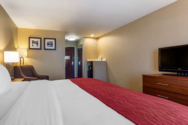  - Comfort Inn Russellville - I-40, Exit 84