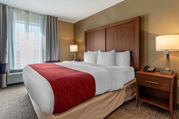  - Comfort Inn Russellville - I-40, Exit 84