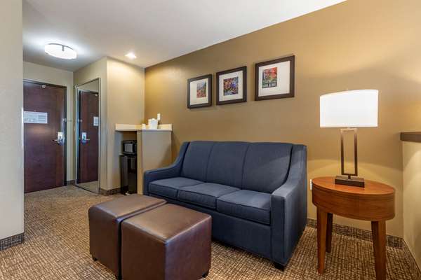  - Comfort Inn Russellville - I-40, Exit 84