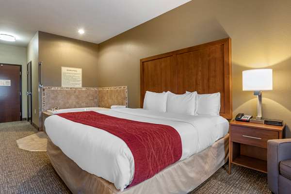  - Comfort Inn Russellville - I-40, Exit 84