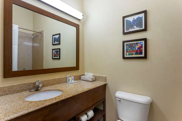 Suite - Comfort Inn Marion - I-55, Exit 10
