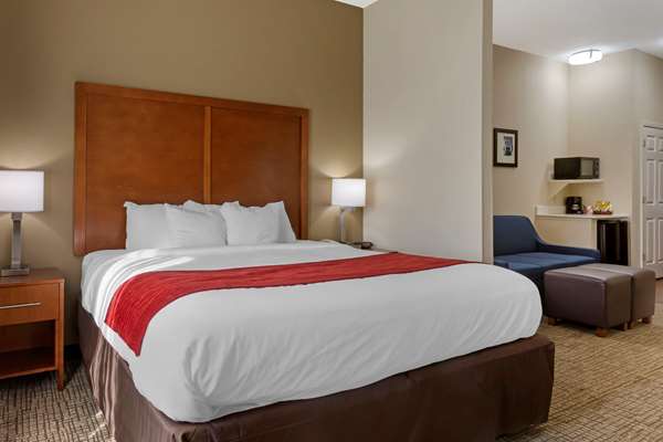 Suite - Comfort Inn Marion - I-55, Exit 10