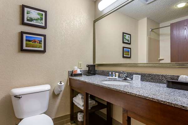 Suite - Comfort Suites Jonesboro