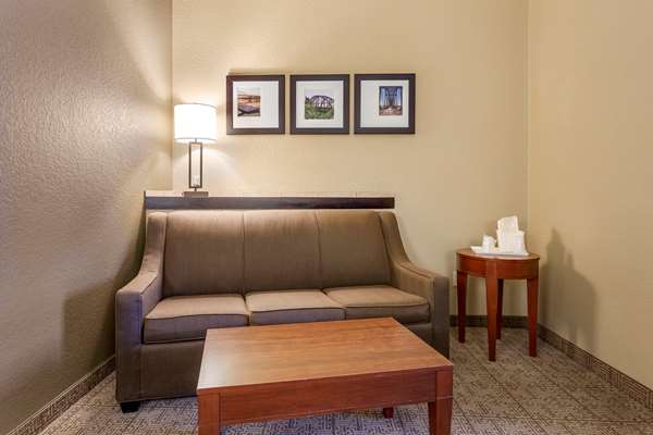 Suite - Comfort Suites Jonesboro
