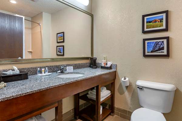 Suite - Comfort Suites Jonesboro
