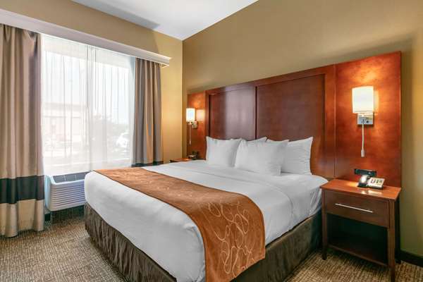 Suite - Comfort Suites Forrest City - I-40, Exit 241