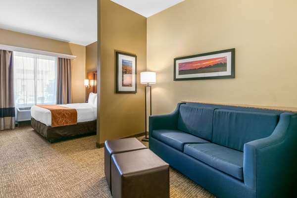Suite - Comfort Suites Forrest City - I-40, Exit 241