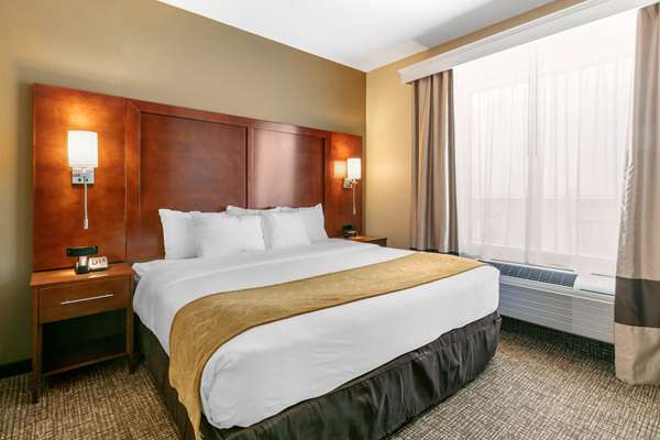 Suite - Comfort Suites Forrest City - I-40, Exit 241