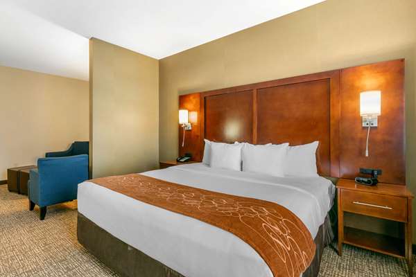 Suite - Comfort Suites Forrest City - I-40, Exit 241