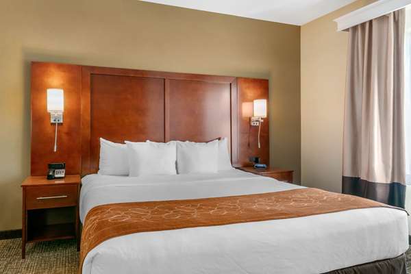 Suite - Comfort Suites Forrest City - I-40, Exit 241