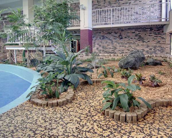 Pool - Econo Lodge Conference Center El Dorado