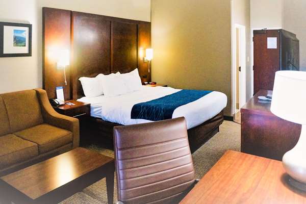  - Comfort Inn & Suites Hendrix College Conway - I-40, Exit 125