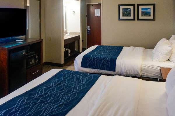  - Comfort Inn & Suites Hendrix College Conway - I-40, Exit 125