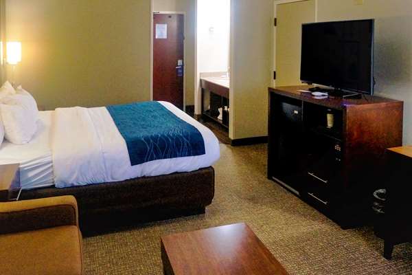  - Comfort Inn & Suites Hendrix College Conway - I-40, Exit 125