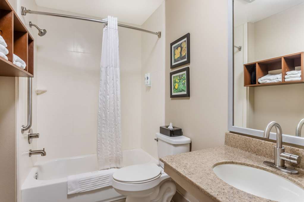 COMFORT INN AND SUITES CONWAY-guestroom-Guest Room,Bathroom,On-Site.jpg