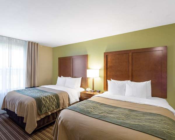 Suite - Comfort Inn & Suites Fayetteville - I-49, Exit 64