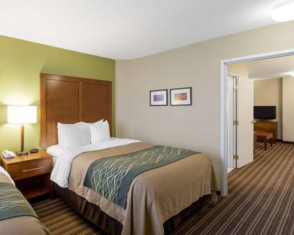 Suite - Comfort Inn & Suites Fayetteville - I-49, Exit 64