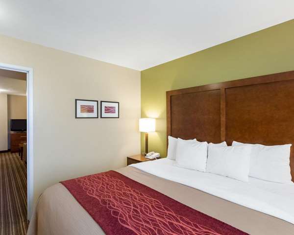 Suite - Comfort Inn & Suites Fayetteville - I-49, Exit 64