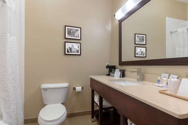 Suite - Comfort Inn & Suites Fayetteville - I-49, Exit 64