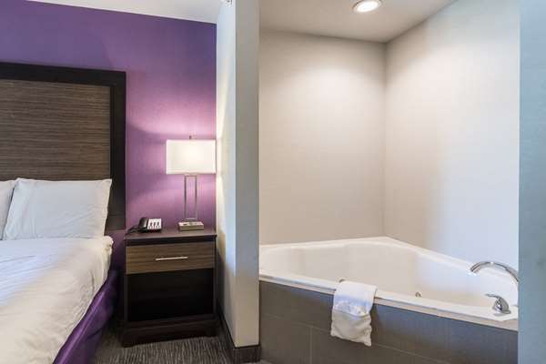  - Econo Lodge Inn & Suites Downtown North Little Rock - I-30, Exit 141