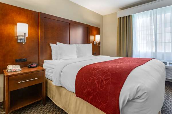 Suite - Comfort Suites Tempe - I-10, Exit 153