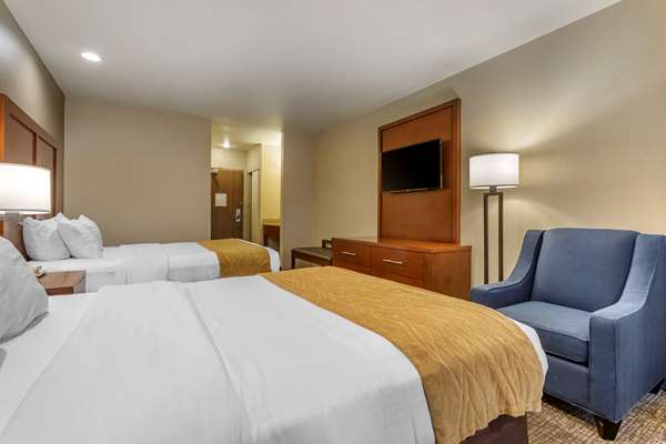 Suite - Comfort Inn Flagstaff - I-17, Exit 341