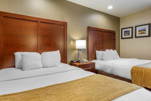 - Comfort Inn Flagstaff - I-17, Exit 341