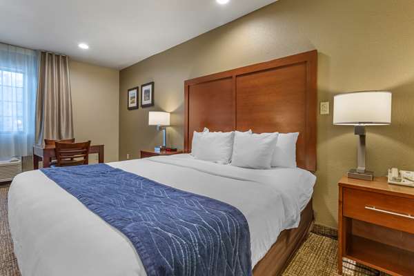 Suite - Comfort Inn Flagstaff - I-17, Exit 341