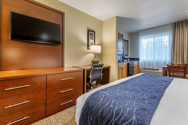 Suite - Comfort Inn Flagstaff - I-17, Exit 341