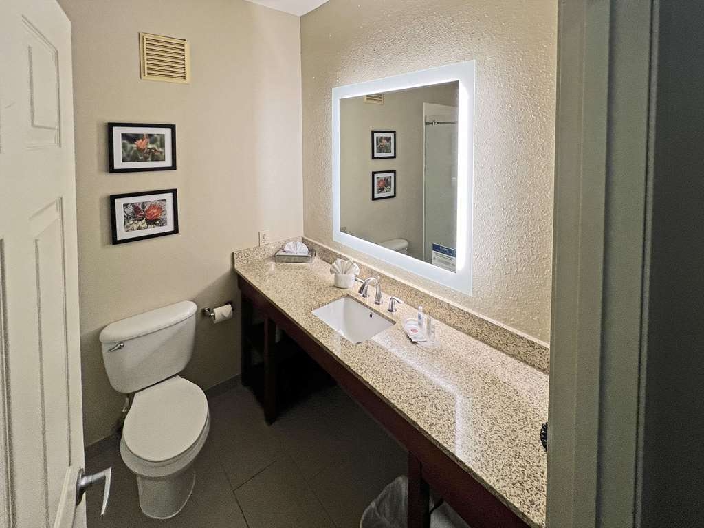 COMFORT SUITES PEORIA SPORTS COMPLE-guestroom-Guest Room,Bathroom,On-Site.jpg