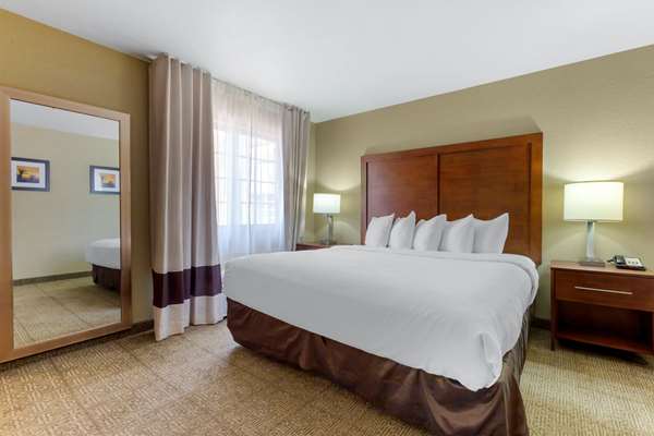 Suite - Comfort Inn & Suites at Talavi Glendale